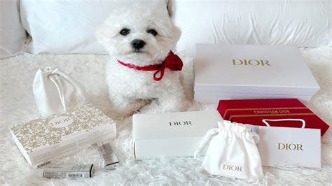 dior silver|dior silver status gift.